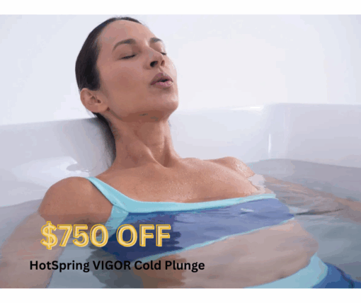 HotSpring VIGOR™ Cold Plunge